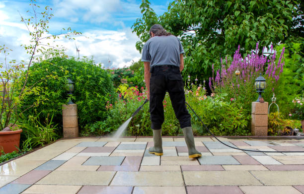 Best Sidewalk and Walkway Cleaning  in Maud, TX